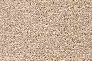 Ковролин AW Tuftex Twist 03 фото  | FLOORDEALER